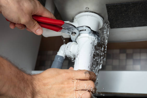 Best Water damage cleanup near me  in Sartell, MN