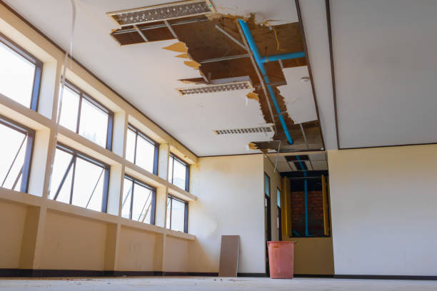 Best Fire Damage Restoration  in Sartell, MN