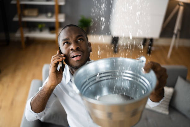 Best Flood damage cleanup  in Sartell, MN