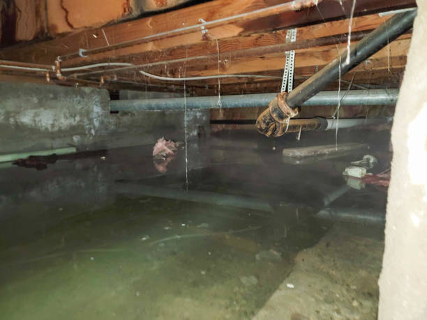 Best Local water damage restoration  in Sartell, MN