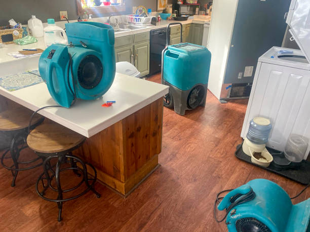 Trusted Sartell, MN Water damage restoration Experts