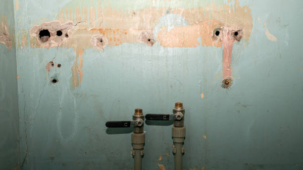 Best Water damage restoration near me  in Sartell, MN