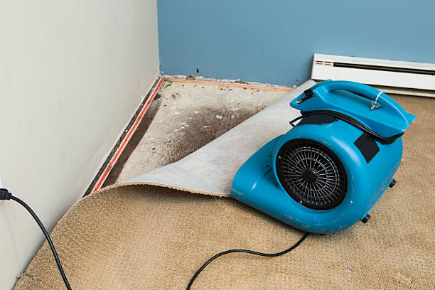 Best Ceiling water damage repair  in Sartell, MN